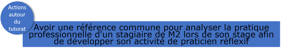 Avoir une référence commune pour analyser la pratique professionnelle d'un stagiaire de M2 lors de son stage afin de développer son activité de praticien réflexif